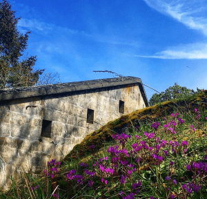 Fort Rod Hill