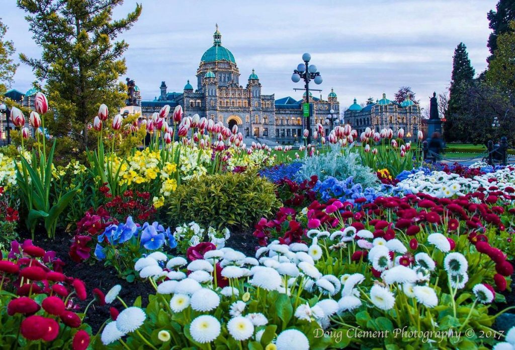 Victoria flowers shop